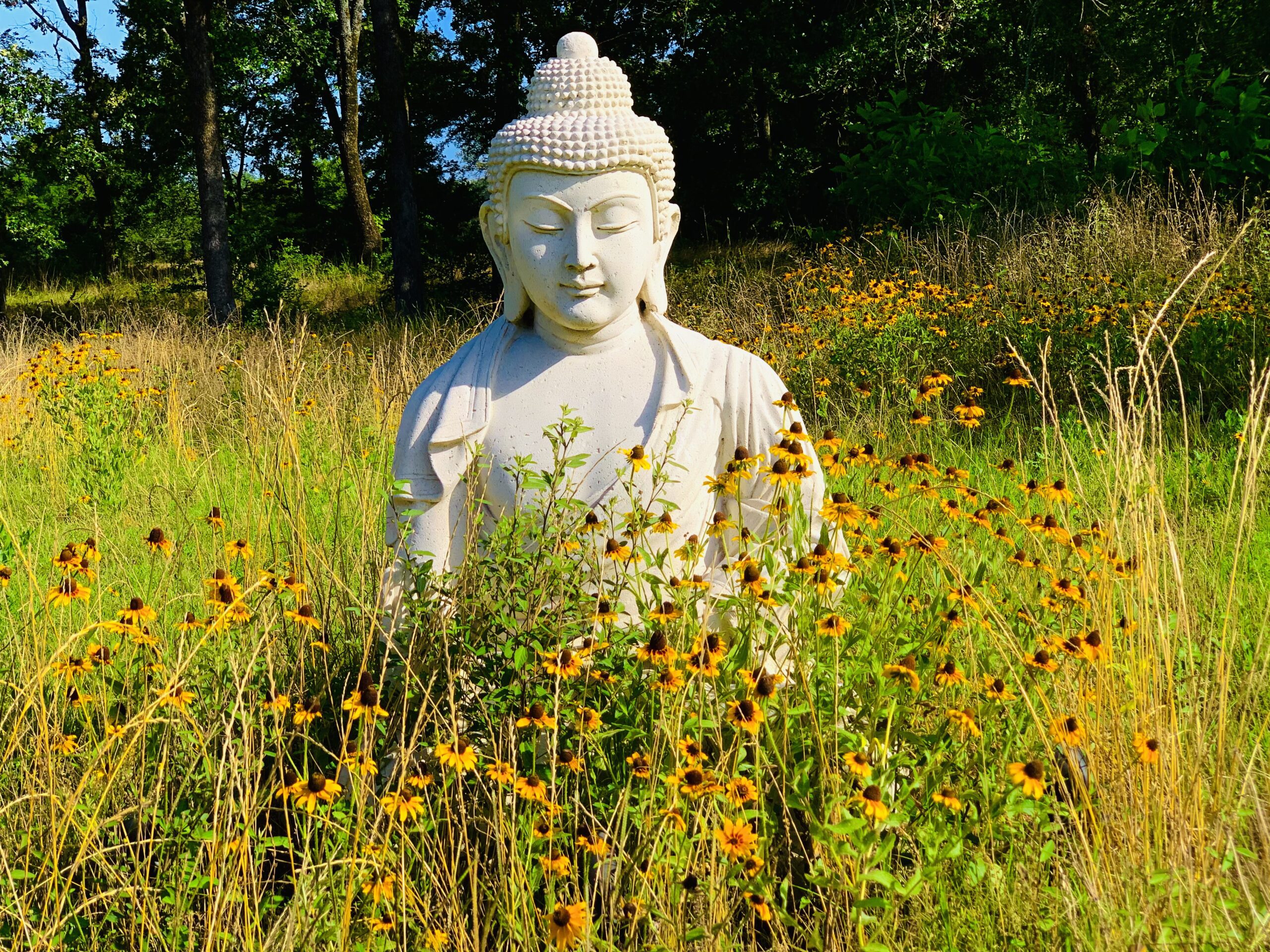 Buddha at 88888 Ranch